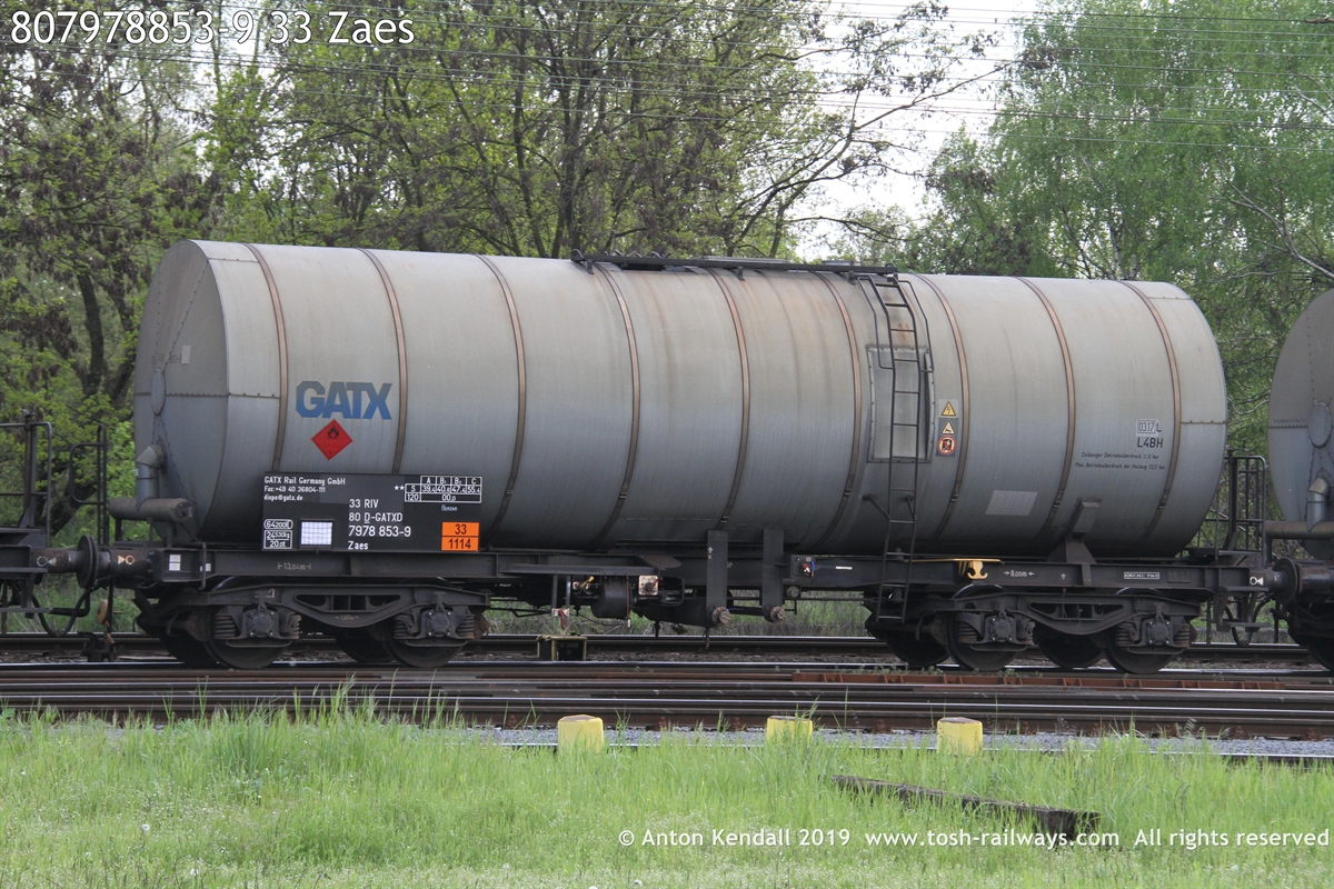 807978853-9_33 Zaes.JPG